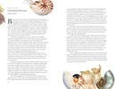 Around the Ocean in 80 Fish and other Sea Life