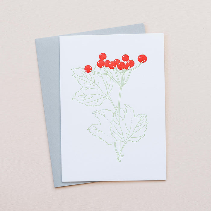 Highbush Cranberry Greeting Card - pack of 6