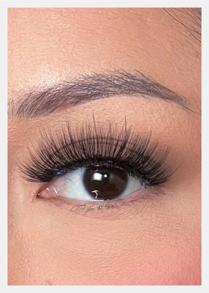D-LUX Curl Premium Faux Mink Lashes - Ava
