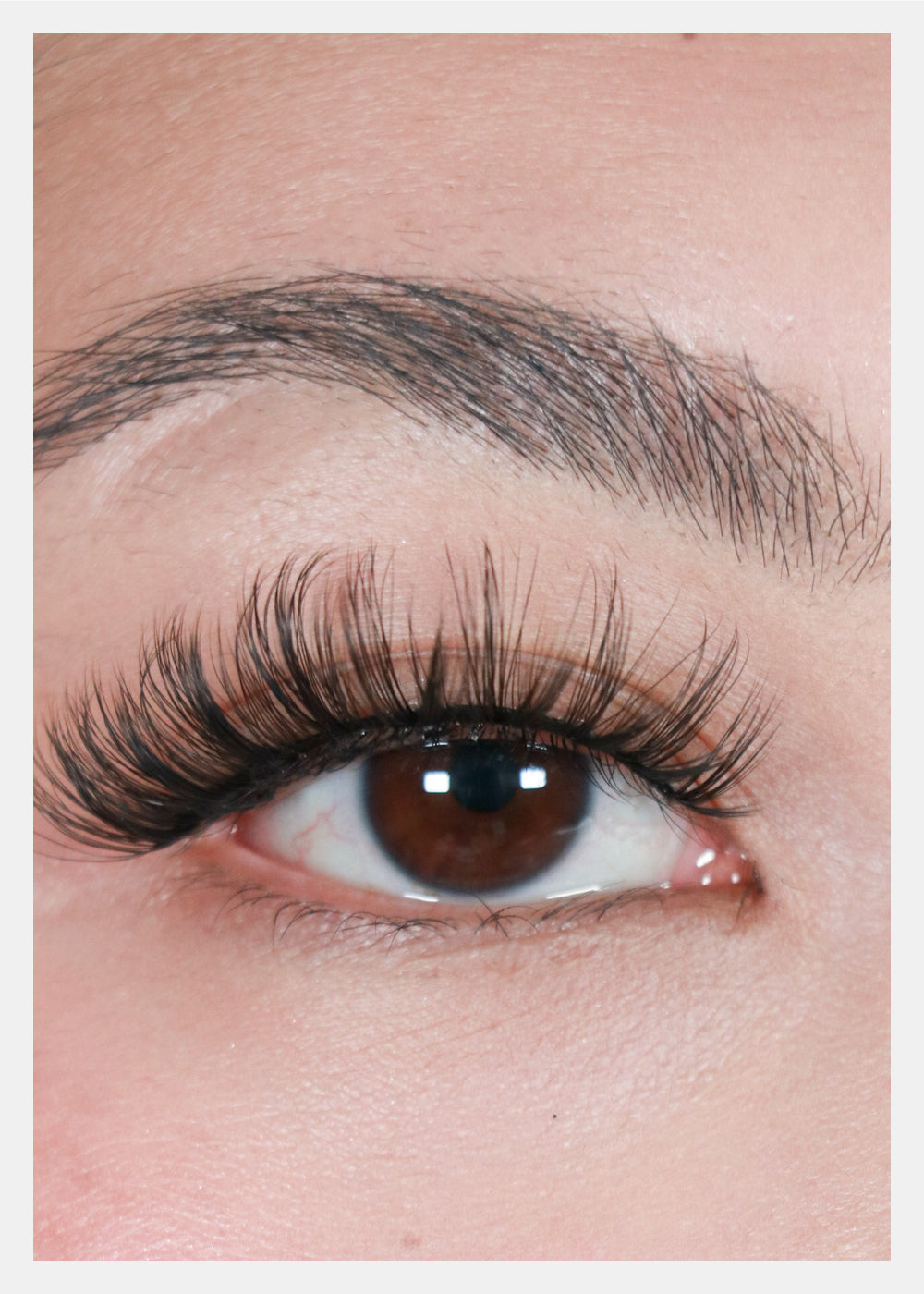 D-LUX Curl Premium Faux Mink Lashes - Bette
