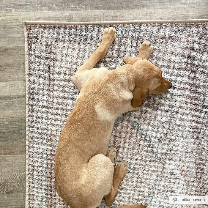 Analu Non-Slip Washable Rug [Online Only]