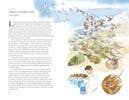 Around the Ocean in 80 Fish and other Sea Life