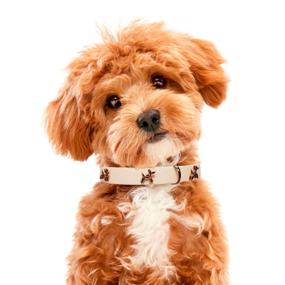 Ballon Beige Dog Collar | Premium Collar | SANDDOG