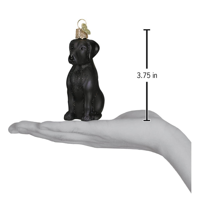 Black Labrador Ornament [Online Only]