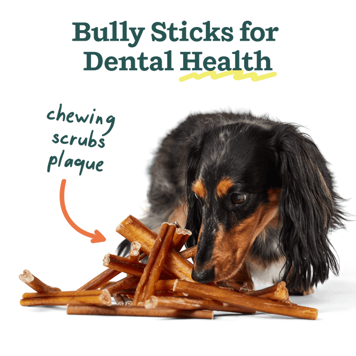 BullySafe Chews - BullySticks: Beef / 12-inch 5 pack