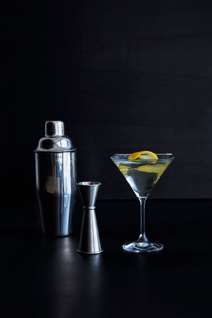 Canvas Home Martini Stemware Set [Online Only]