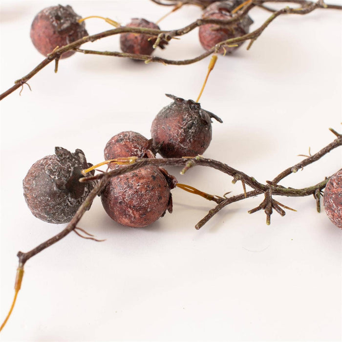 Chinaberry Burgundy Stem