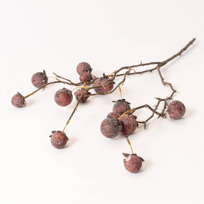 Chinaberry Burgundy Stem