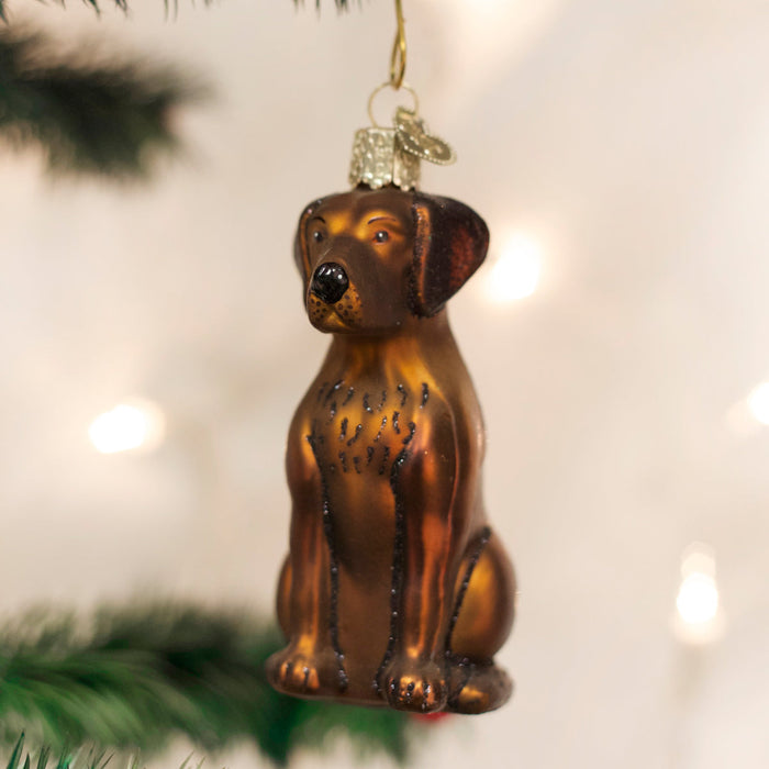 Chocolate Labrador Ornament [Online Only]