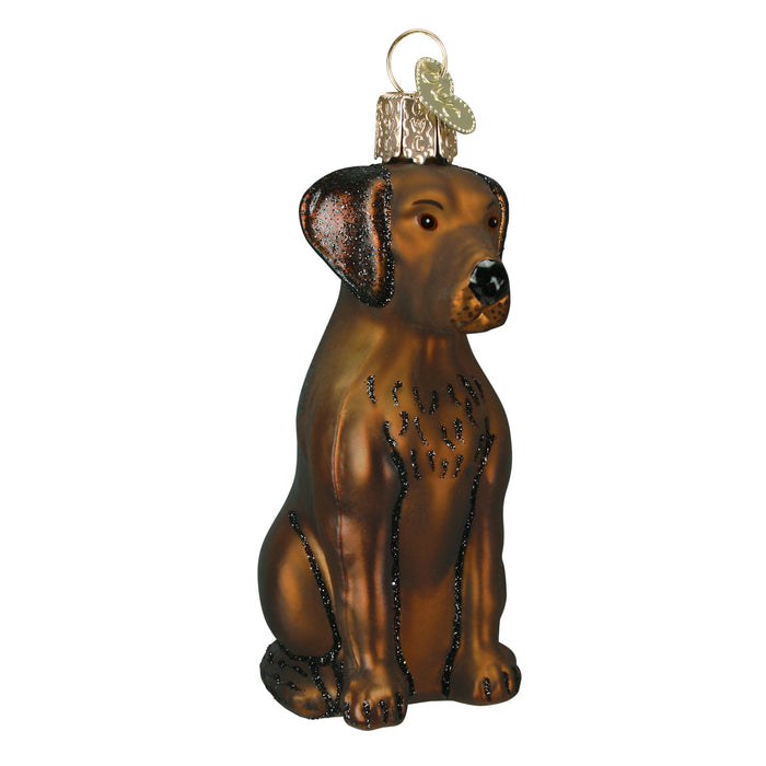 Chocolate Labrador Ornament [Online Only]