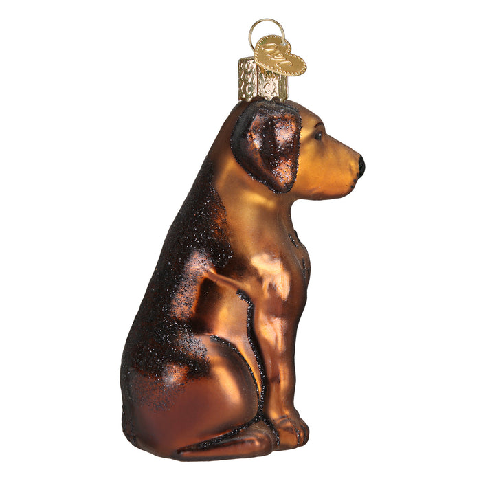 Chocolate Labrador Ornament [Online Only]
