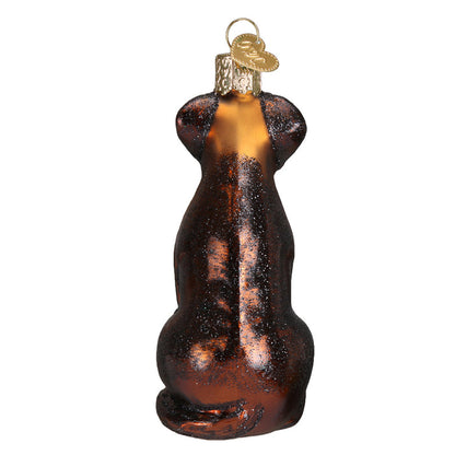 Chocolate Labrador Ornament [Online Only]