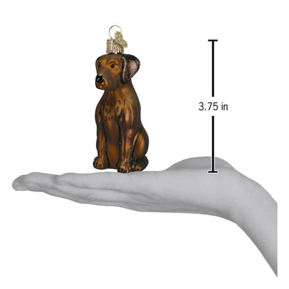 Chocolate Labrador Ornament [Online Only]