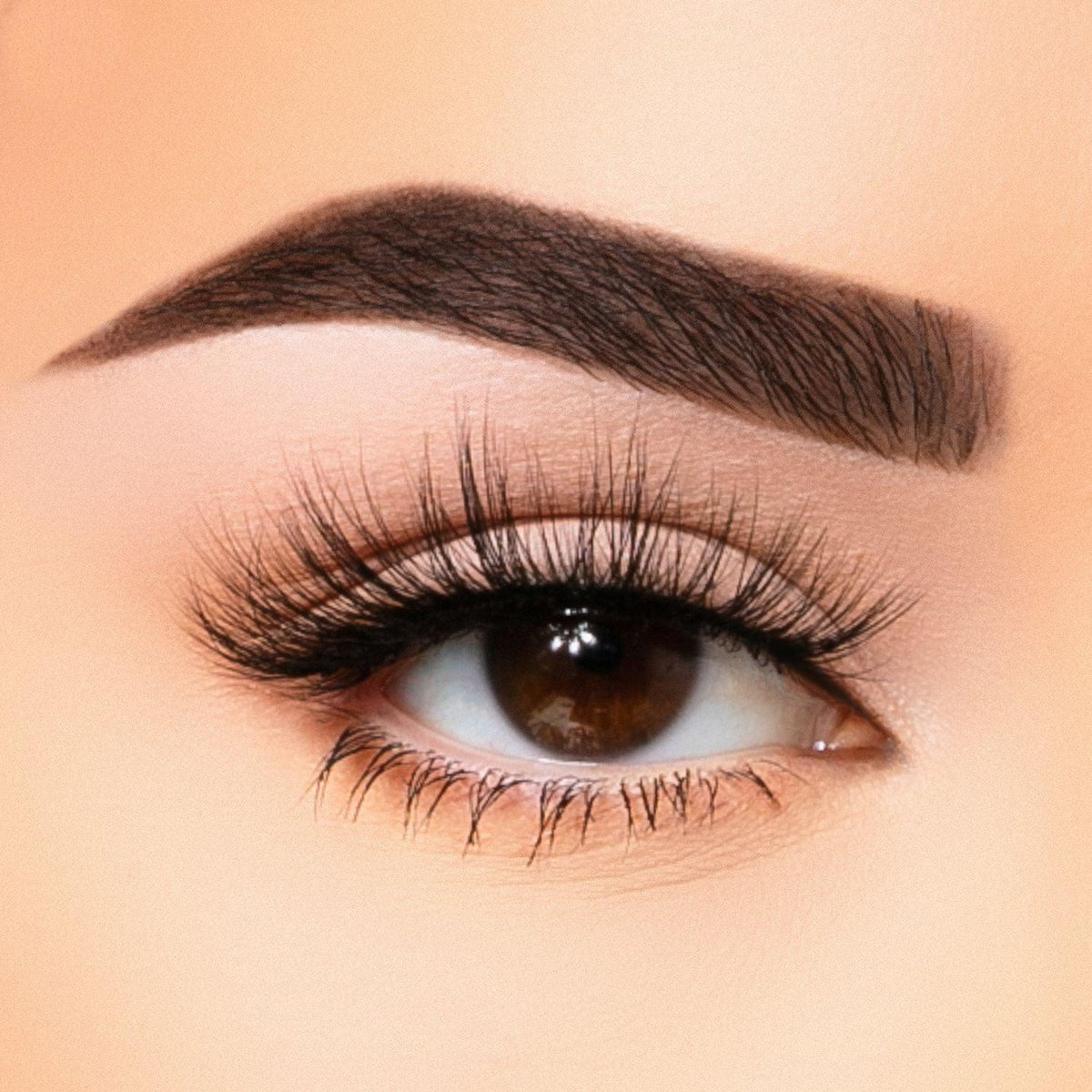 35MM Faux Mink - Lash Collection