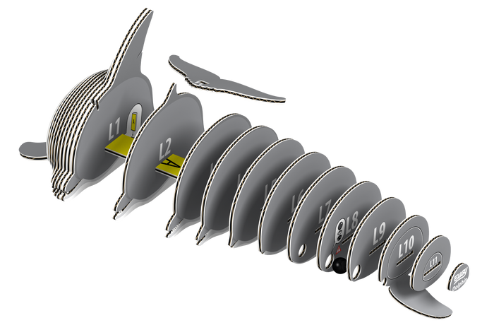 EUGY Dolphin 3D Puzzle