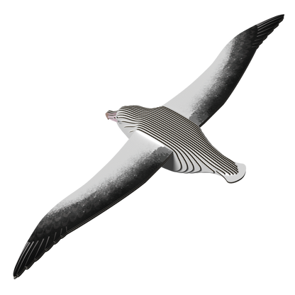 EUGY Royal Albatross 3D Puzzle
