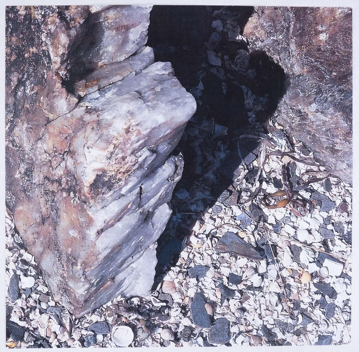 Frank Brockman - Shells Galore