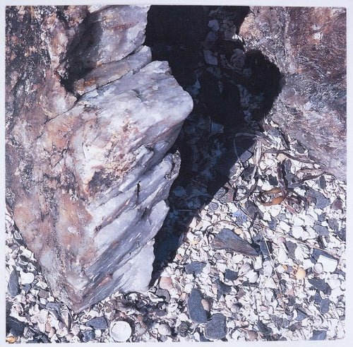 Frank Brockman - Shells Galore