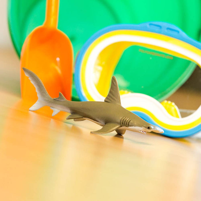 Hammerhead Shark - 274829