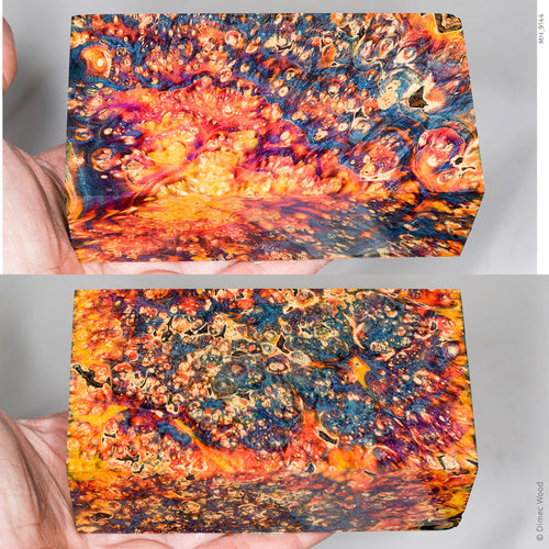 Large stabilized box elder burl wood block