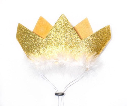 Multipet Party Crown for Dogs & Cats