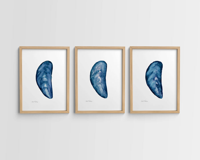 Mussel Shell Singles, Watercolor