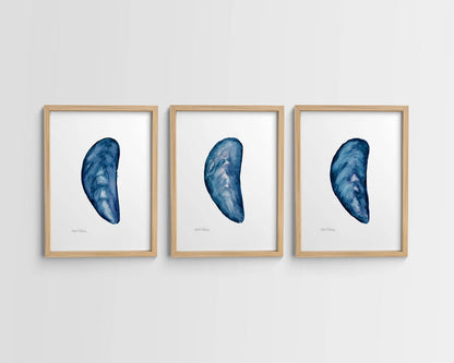 Mussel Shell Singles, Watercolor