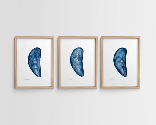 Mussel Shell Singles, Watercolor