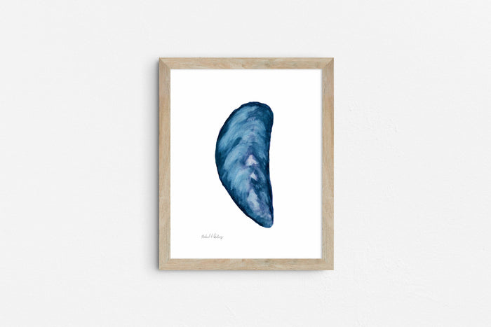 Mussel Shell Singles, Watercolor