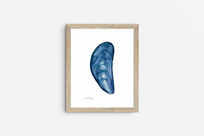 Mussel Shell Singles, Watercolor