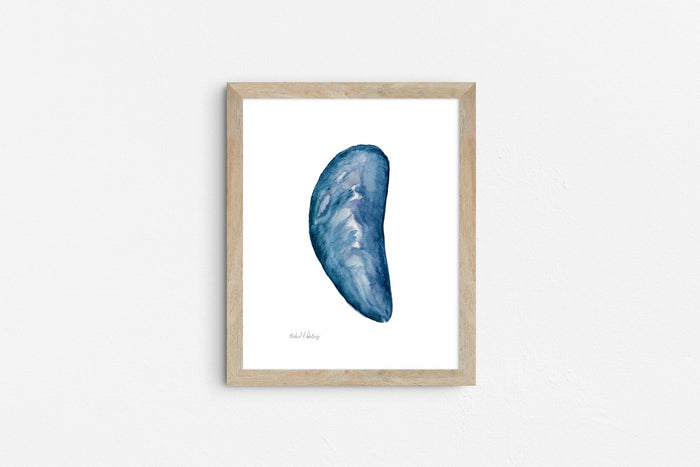 Mussel Shell Singles, Watercolor