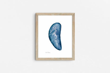 Mussel Shell Singles, Watercolor