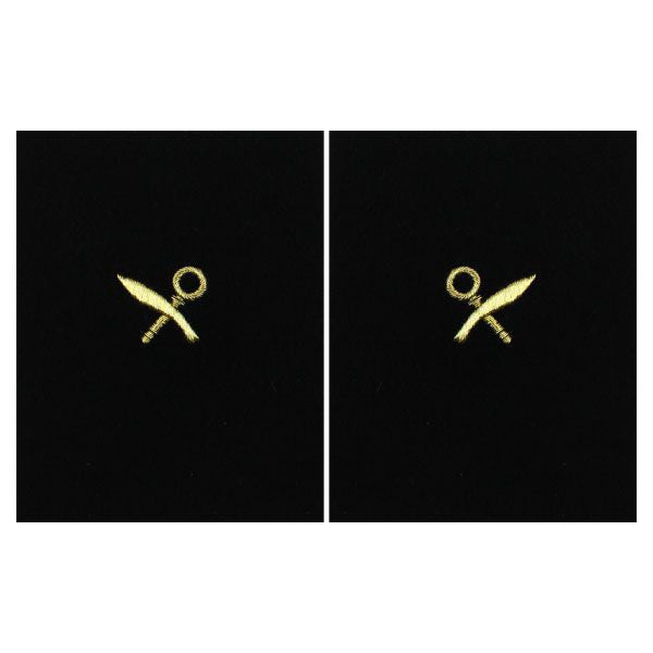 Navy Sleeve Device: Intelligence Specialist