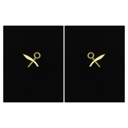 Navy Sleeve Device: Intelligence Specialist