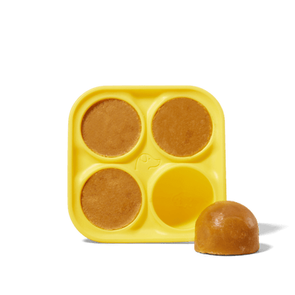 Pupsicle Treat Tray: Extra Large