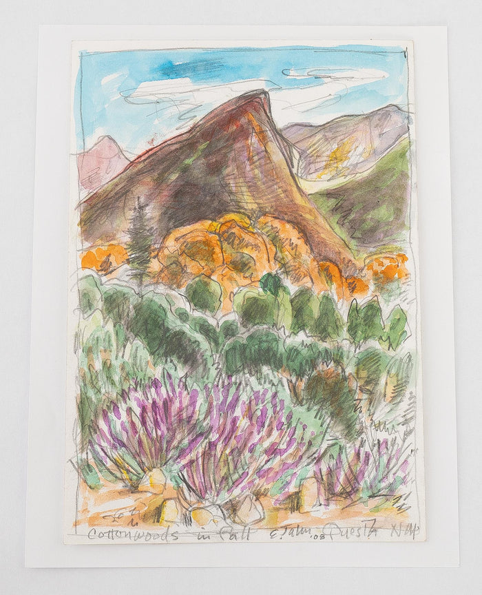 Questa Landscape by Elena Jahn