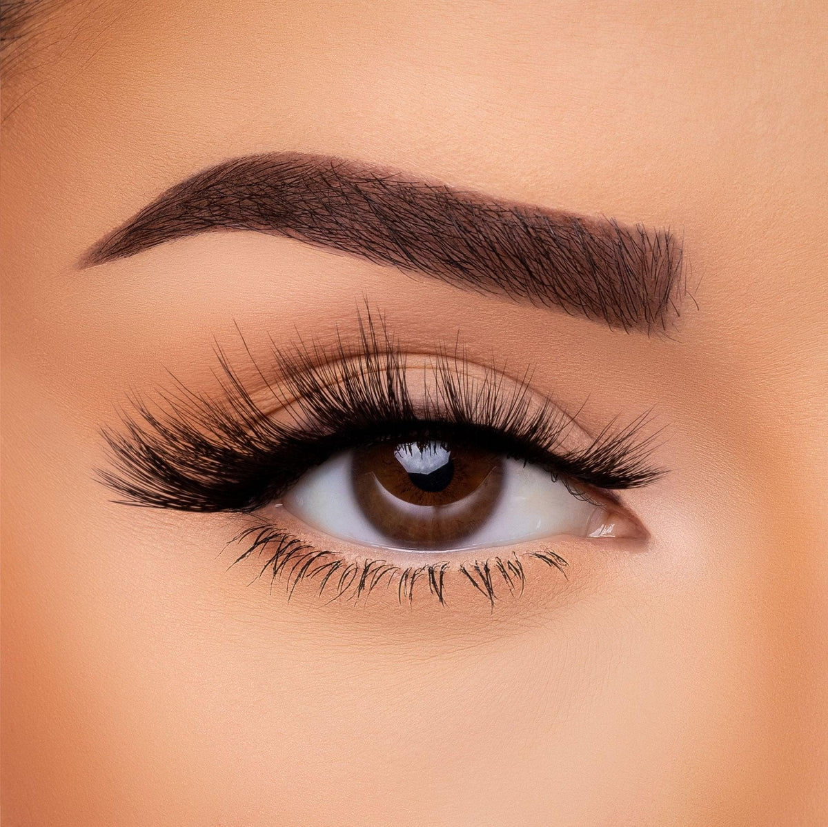 3D Silk Lash