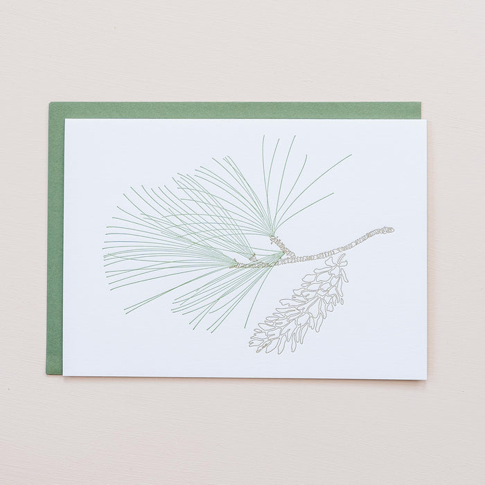 White Pine Greeting Card - set of 6